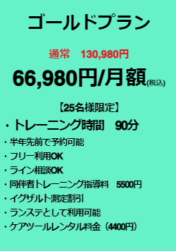 スクリーンショット (17)